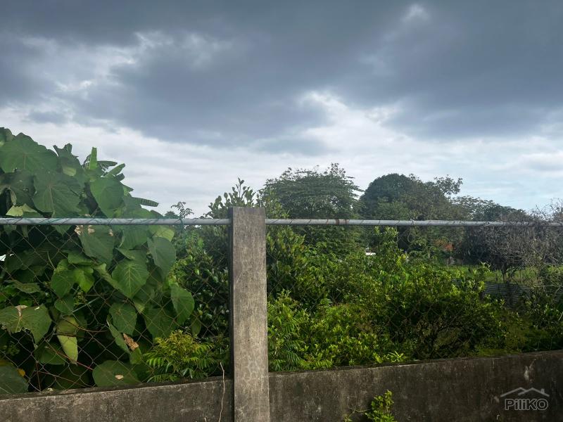 Residential Lot for sale in Dumaguete in Negros Oriental - image