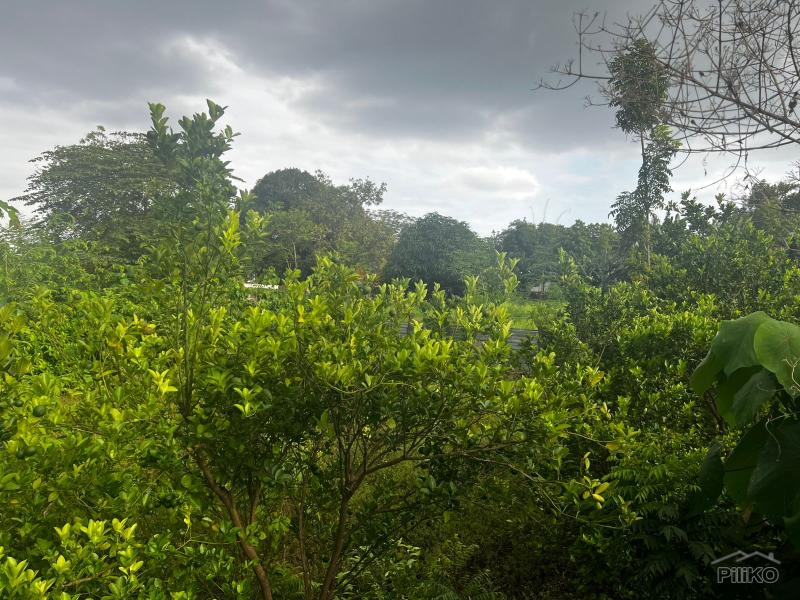 Residential Lot for sale in Dumaguete in Philippines - image