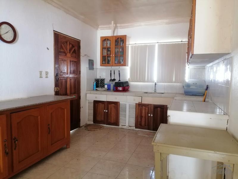 6 bedroom House and Lot for sale in Dauin - image 10