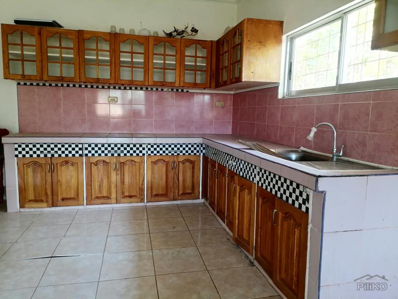 6 bedroom House and Lot for sale in Dauin - image 14