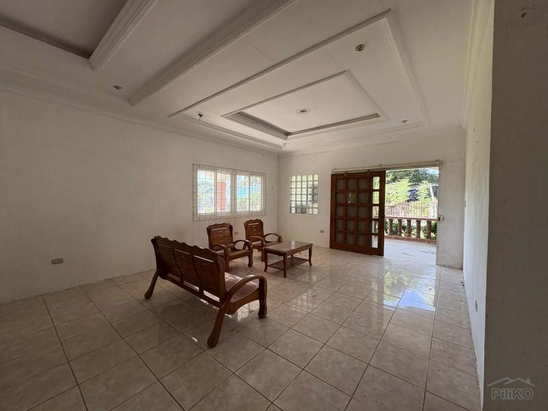 6 bedroom House and Lot for sale in Dauin - image 17