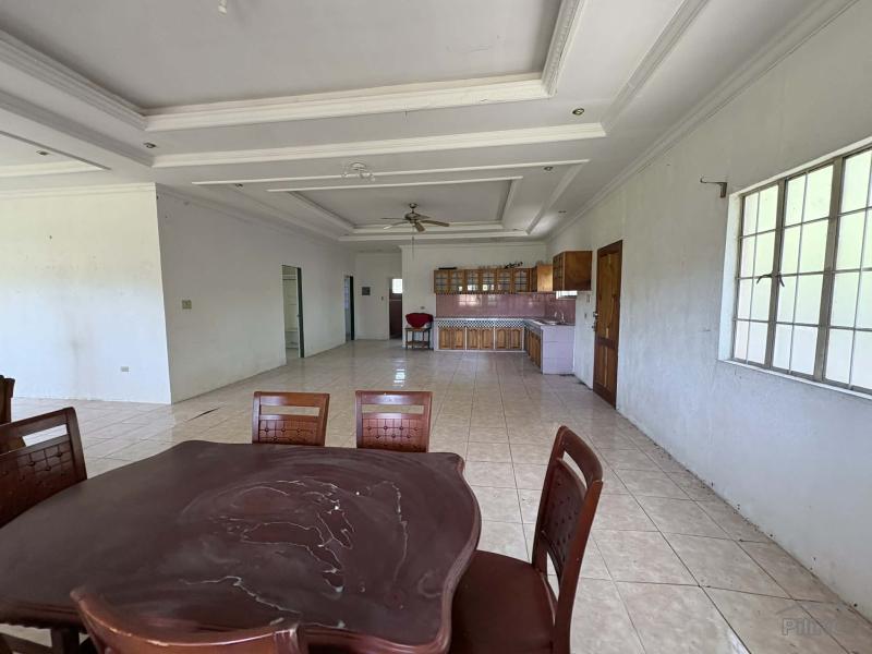 6 bedroom House and Lot for sale in Dauin - image 18