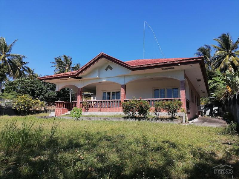 Picture of 6 bedroom House and Lot for sale in Dauin