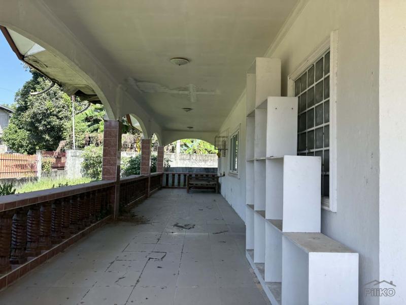 6 bedroom House and Lot for sale in Dauin - image 20
