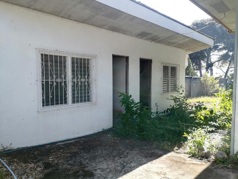 6 bedroom House and Lot for sale in Dauin - image 23
