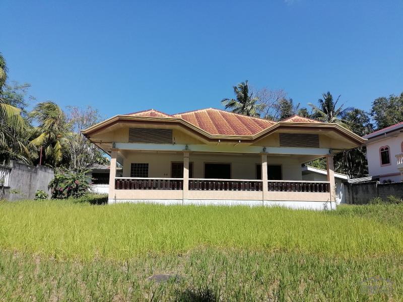 6 bedroom House and Lot for sale in Dauin - image 2