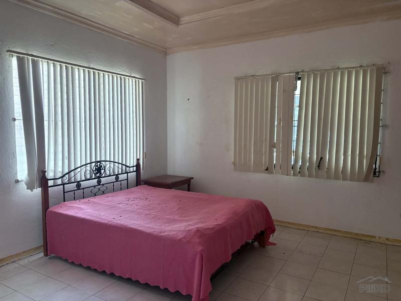 6 bedroom House and Lot for sale in Dauin - image 3