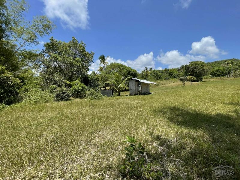 Residential Lot for sale in Lazi - image 10