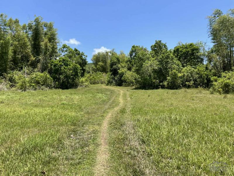 Residential Lot for sale in Lazi - image 11