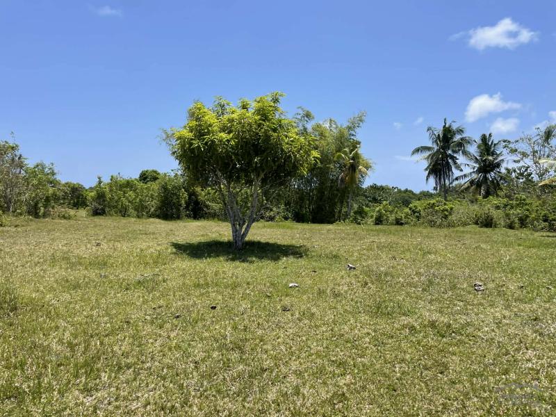 Residential Lot for sale in Lazi - image 12