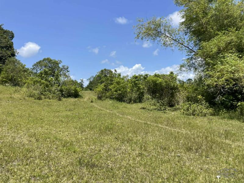 Residential Lot for sale in Lazi - image 13