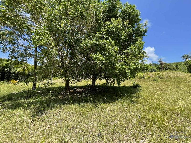 Residential Lot for sale in Lazi - image 16