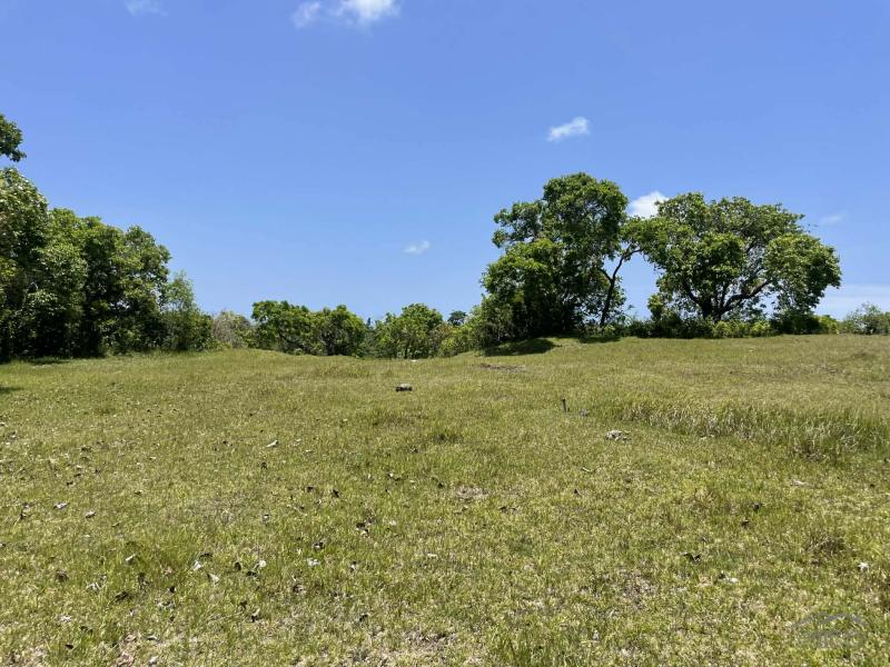 Residential Lot for sale in Lazi - image 17