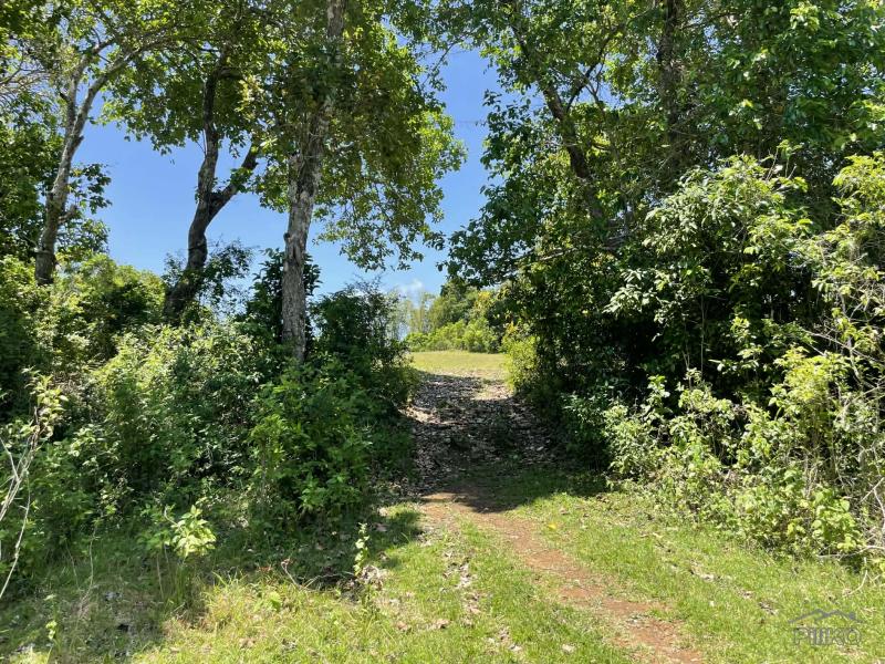 Residential Lot for sale in Lazi - image 18