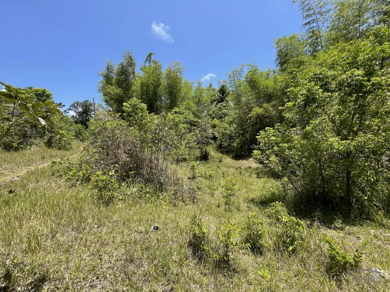 Residential Lot for sale in Lazi - image 19