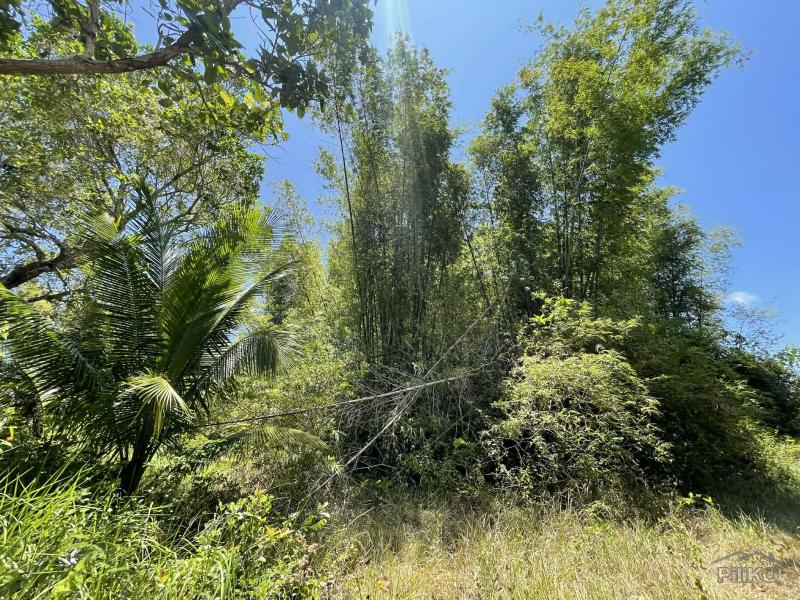 Residential Lot for sale in Lazi - image 23