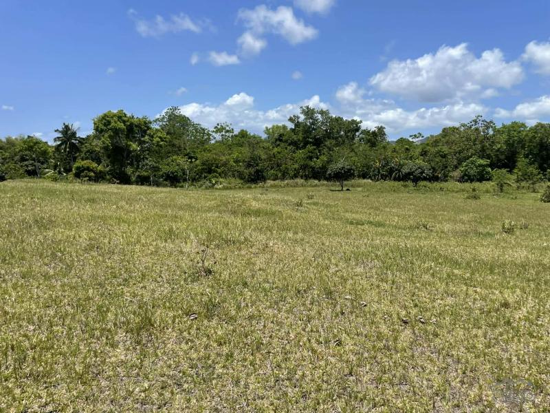 Residential Lot for sale in Lazi - image 2