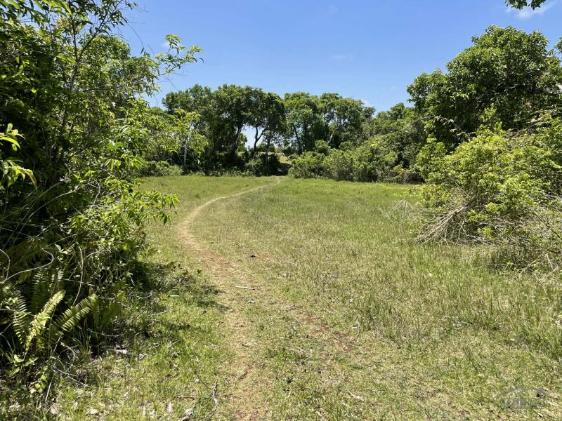 Residential Lot for sale in Lazi - image 3