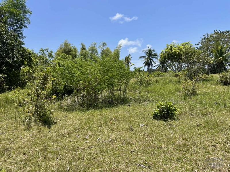 Residential Lot for sale in Lazi - image 5