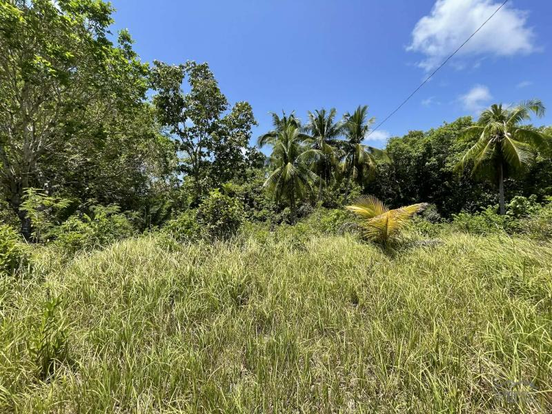 Residential Lot for sale in Lazi - image 7