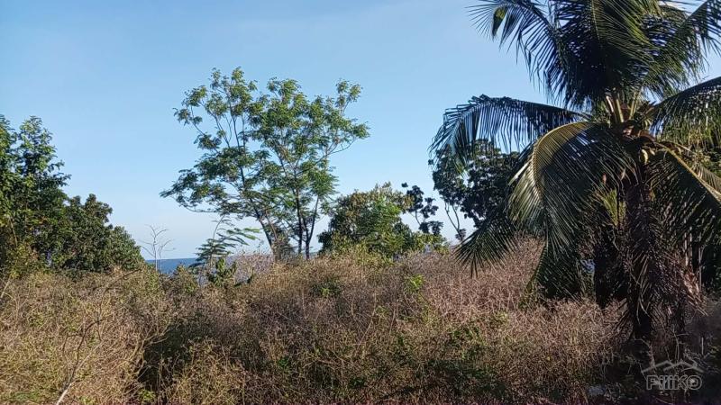 Residential Lot for sale in Lazi - image 8