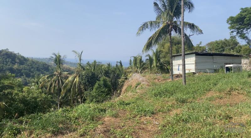 Residential Lot for sale in Sibulan - image 10