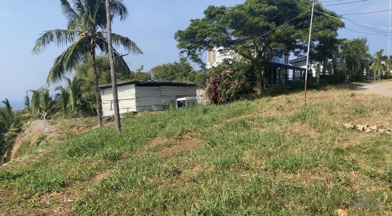 Residential Lot for sale in Sibulan - image 11