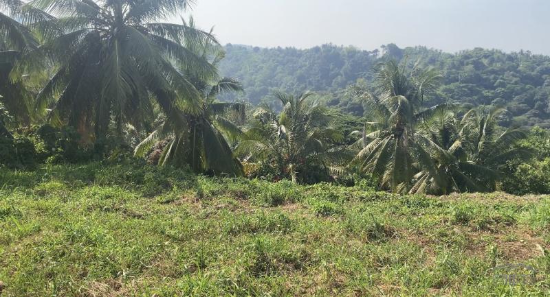 Residential Lot for sale in Sibulan - image 12