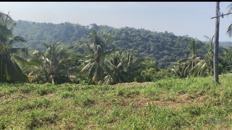 Residential Lot for sale in Sibulan - image 13