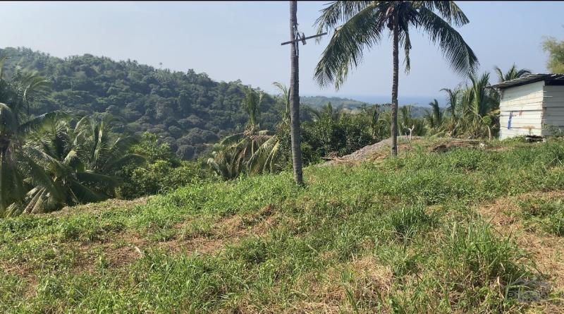 Residential Lot for sale in Sibulan - image 14
