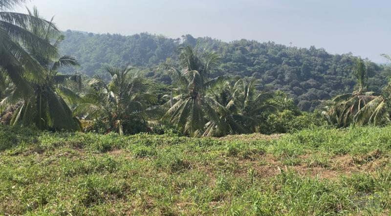 Residential Lot for sale in Sibulan - image 15