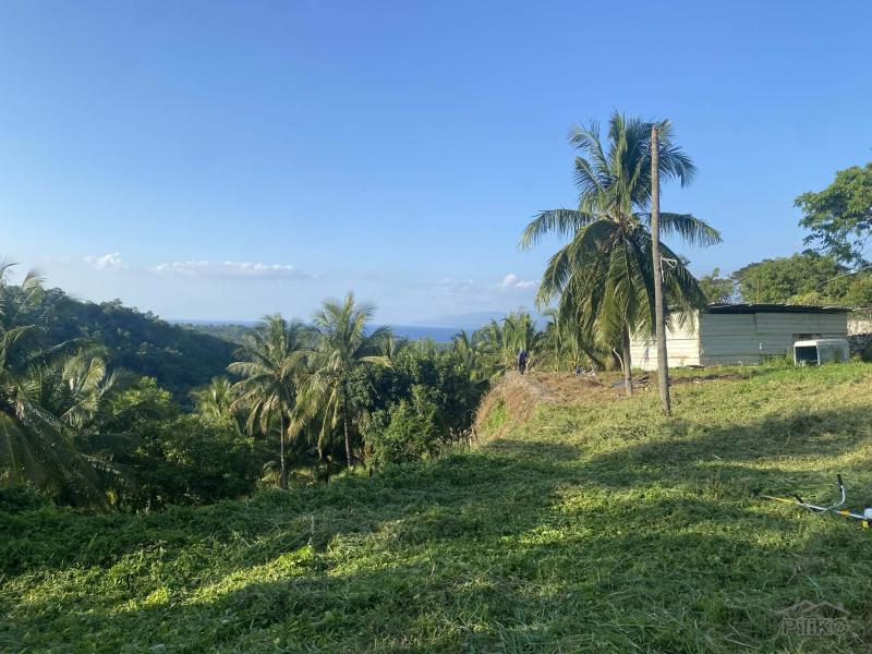 Picture of Residential Lot for sale in Sibulan