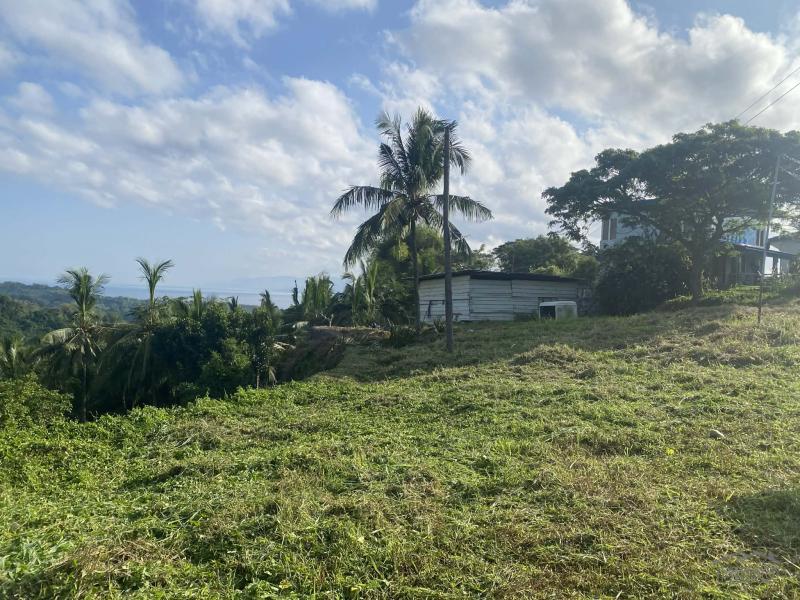 Residential Lot for sale in Sibulan