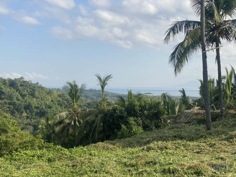 Residential Lot for sale in Sibulan - image 3