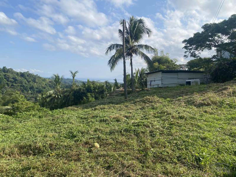 Residential Lot for sale in Sibulan - image 4