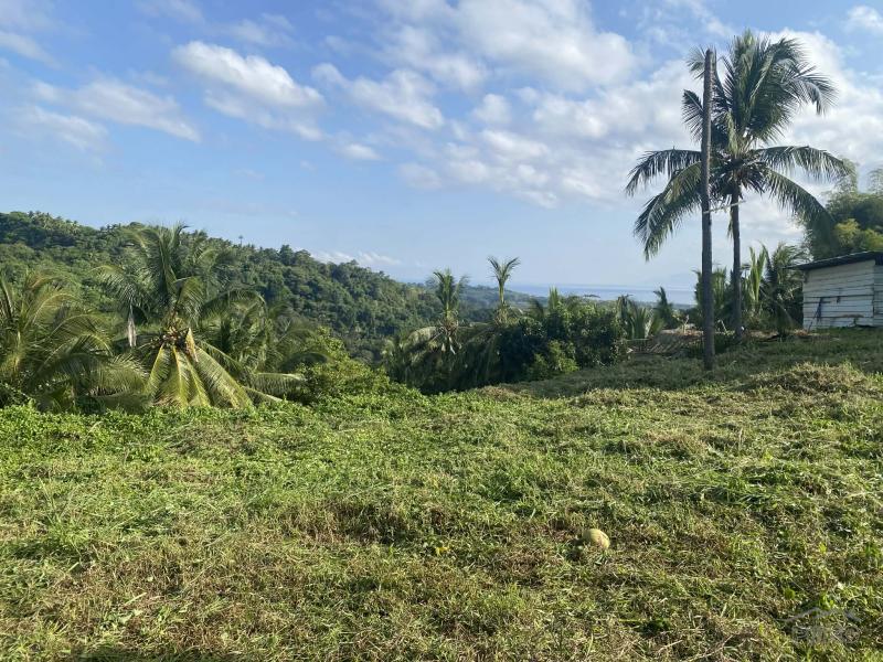 Residential Lot for sale in Sibulan - image 5