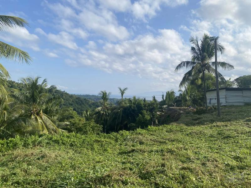 Residential Lot for sale in Sibulan - image 6