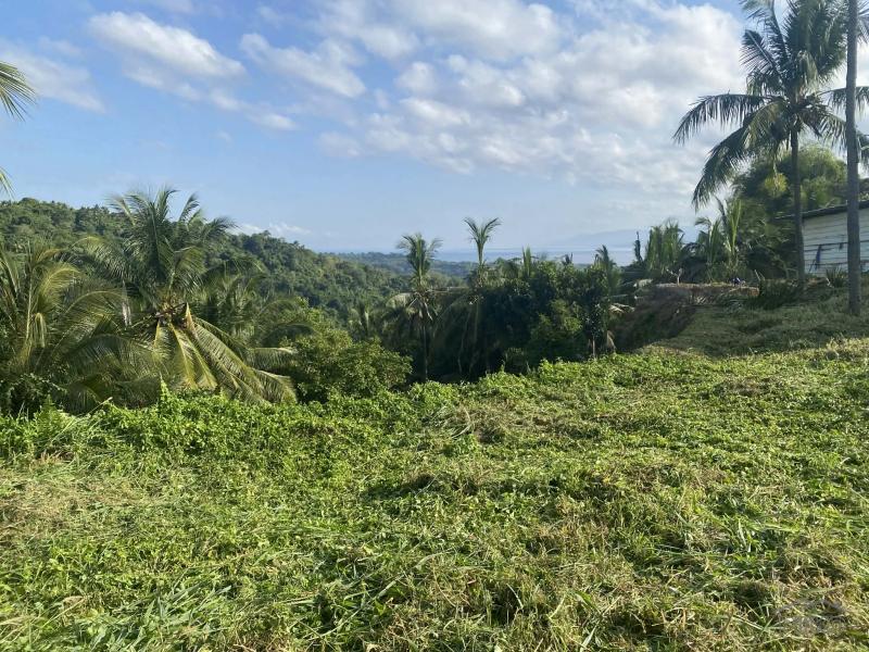 Residential Lot for sale in Sibulan - image 7