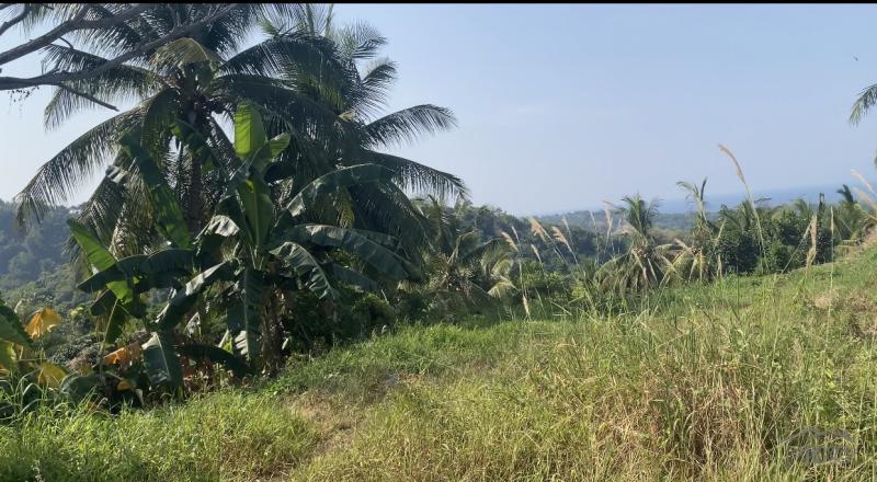 Residential Lot for sale in Sibulan - image 8