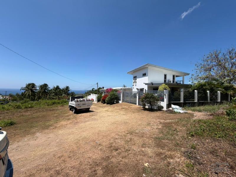 Pictures of Residential Lot for sale in Dauin