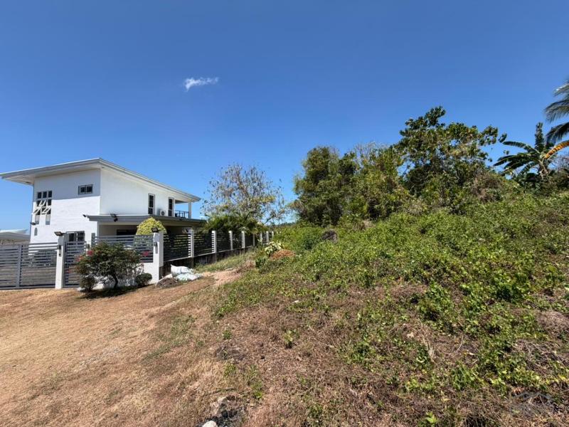 Residential Lot for sale in Dauin