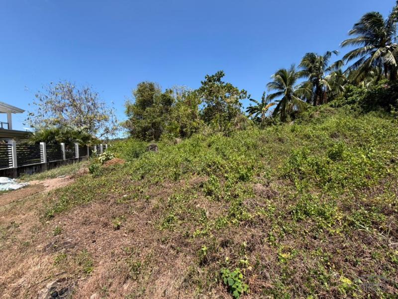 Residential Lot for sale in Dauin - image 3
