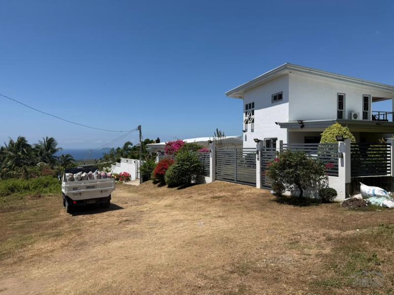 Residential Lot for sale in Dauin - image 4