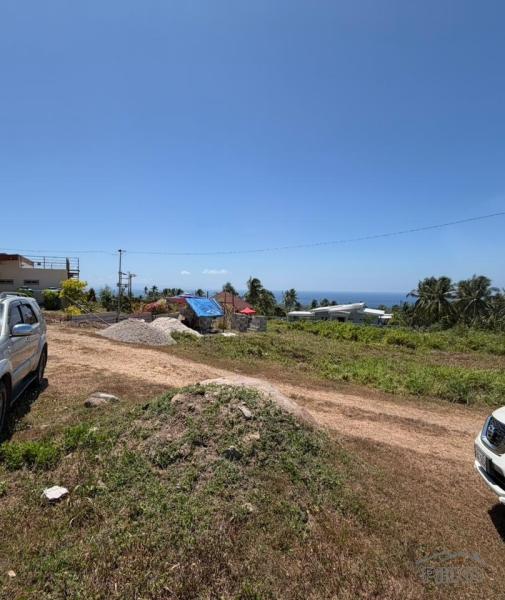 Residential Lot for sale in Dauin - image 5