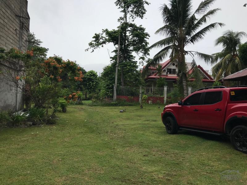 3 bedroom House and Lot for sale in Dauin - image 16