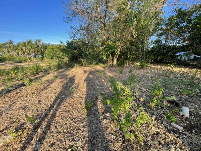 Residential Lot for sale in Siquijor - image 11