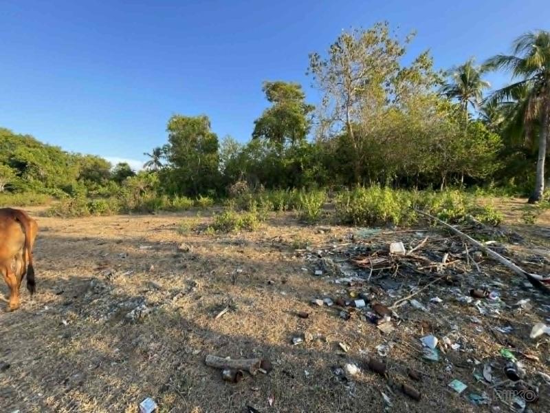 Residential Lot for sale in Siquijor - image 13