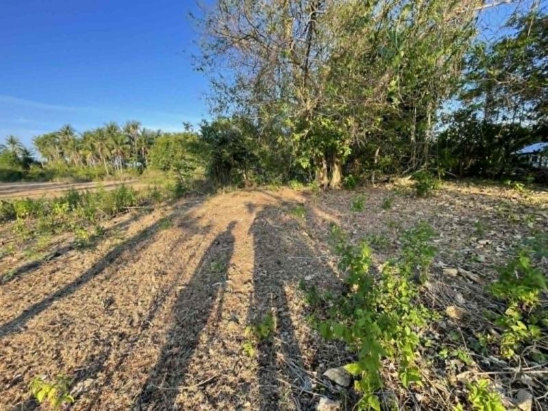 Residential Lot for sale in Siquijor in Philippines