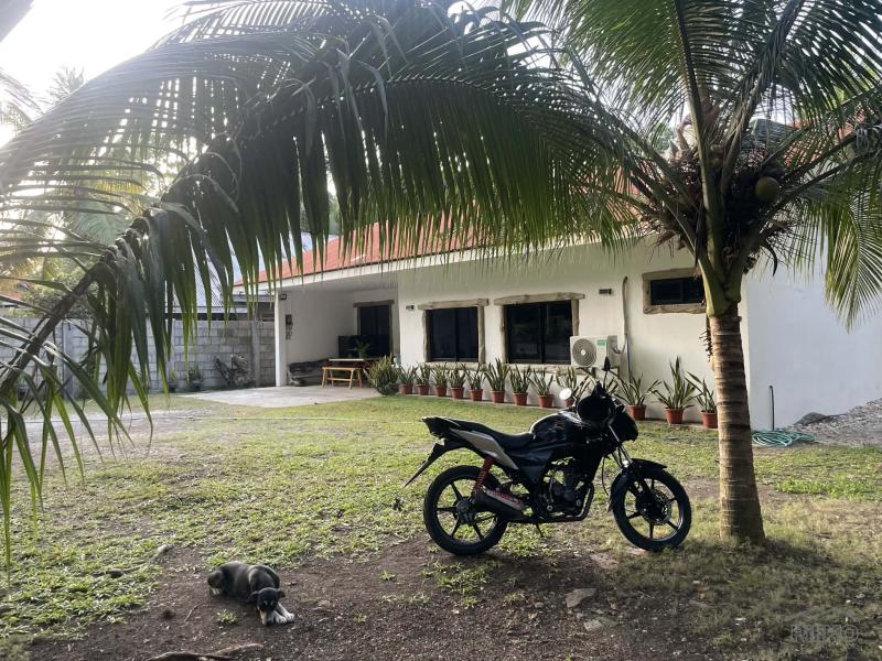 2 bedroom House and Lot for sale in Siquijor - image 11
