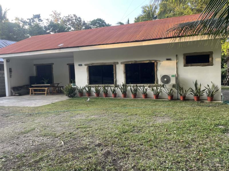 Pictures of 2 bedroom House and Lot for sale in Siquijor